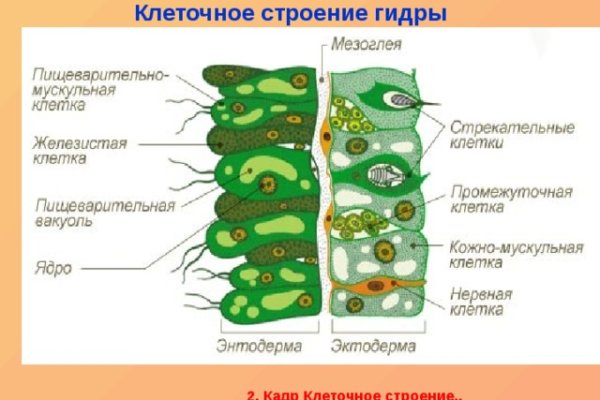 Кракен переход