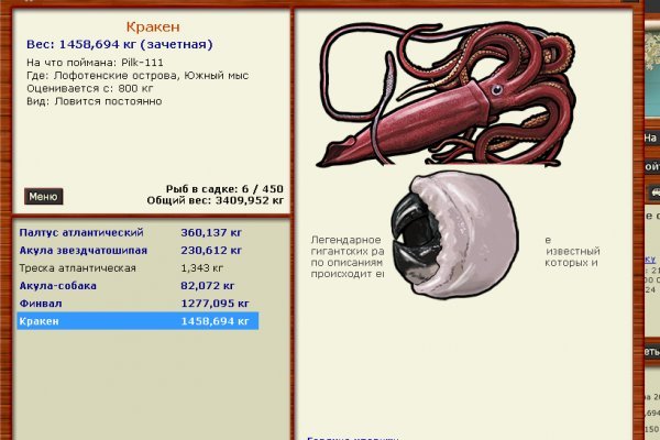 Kraken найдется все