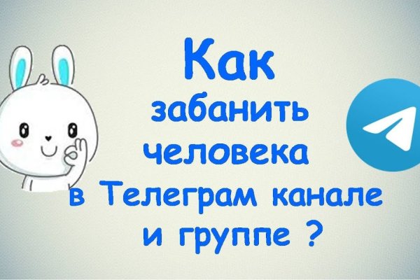 Kraken найдется все