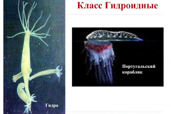 Как пополнить кракен
